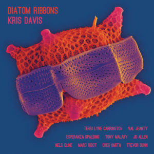 Diatom Ribbons est le nouvel album de la pianiste canadienne Kris Davis avec une superbe équipe de musiciens...